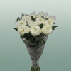 Chrysanthemum G Deko Vienna White