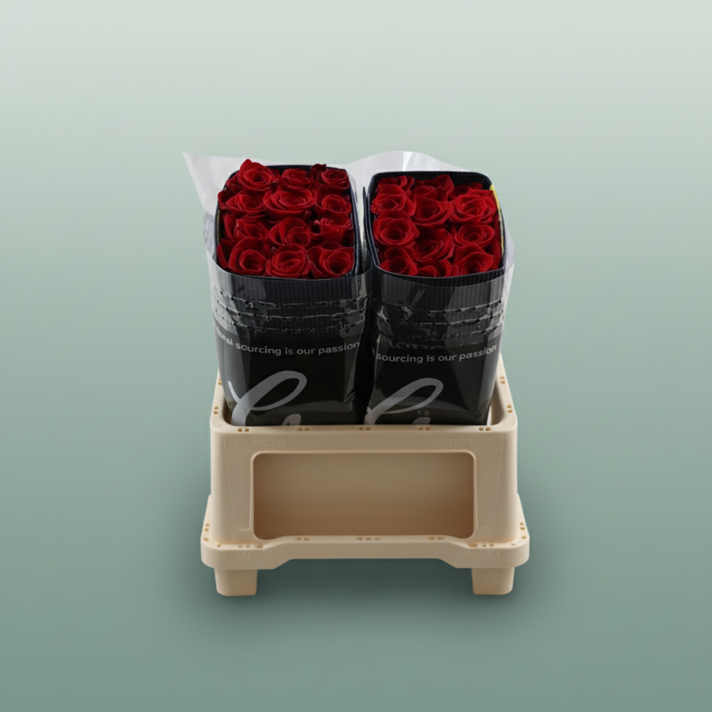 Rose Eq Freedom