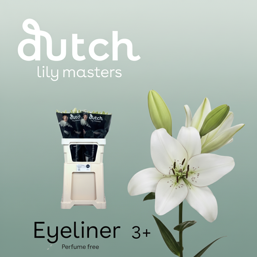 Lily La Eyeliner