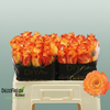 Rose Diyas Fire