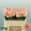 Rose Fiesta