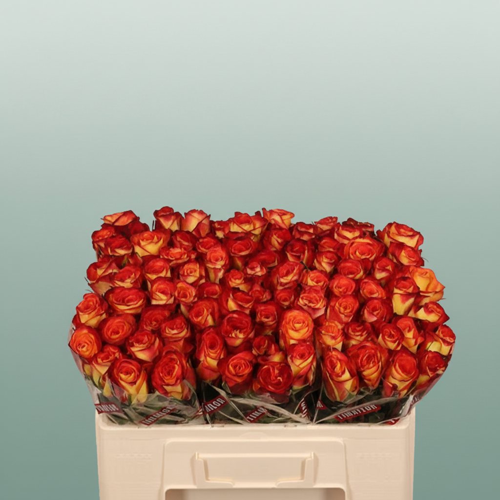 Rose Firefox