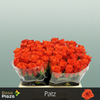 Rose Patz
