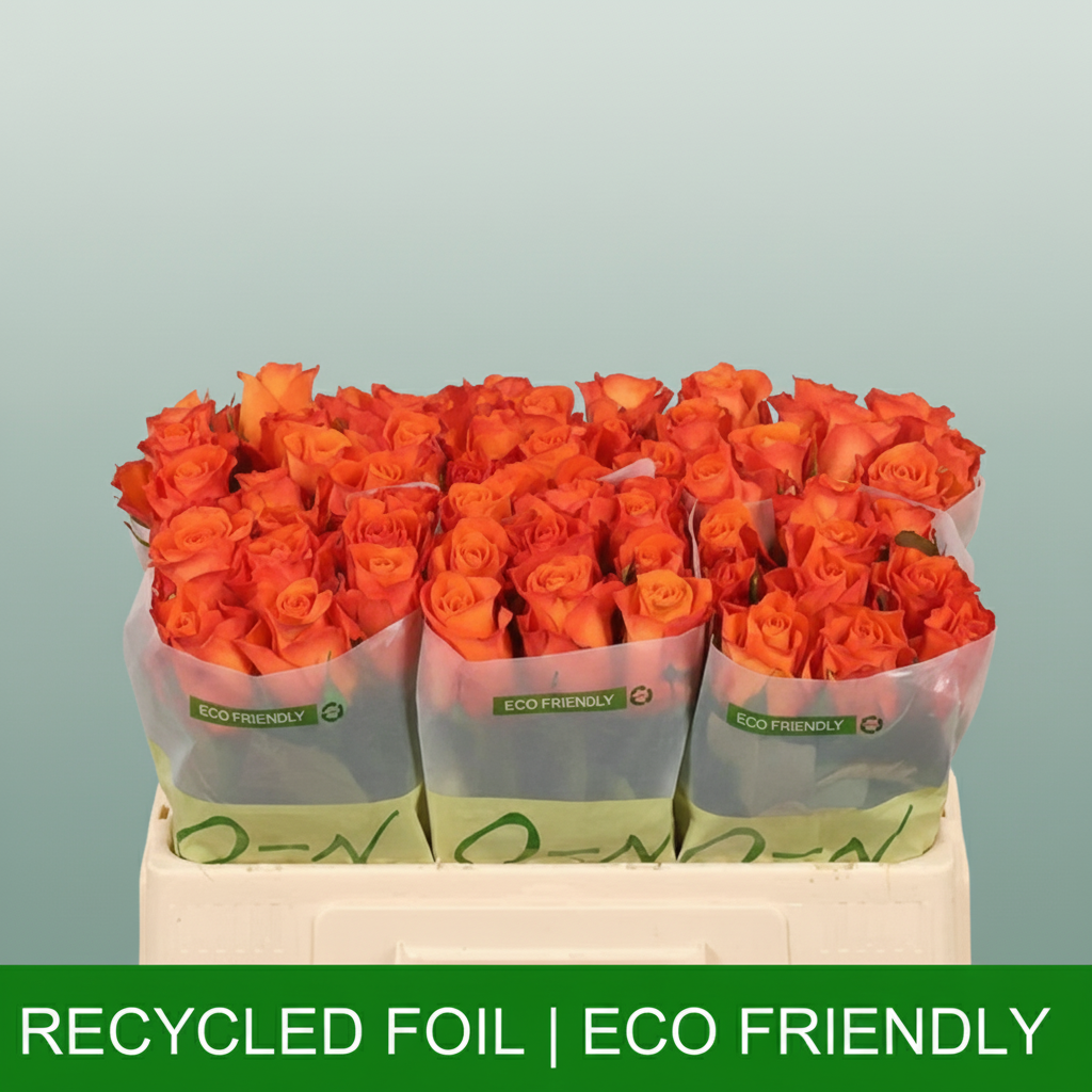 Rose Orange Wave
