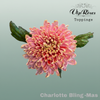 Chrysanthemum G Dyed Charlotte Bling Xmas
