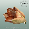 Lily Chocolate Dyed