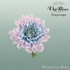 Chrysanthemum G Dyed Rosanne Blue