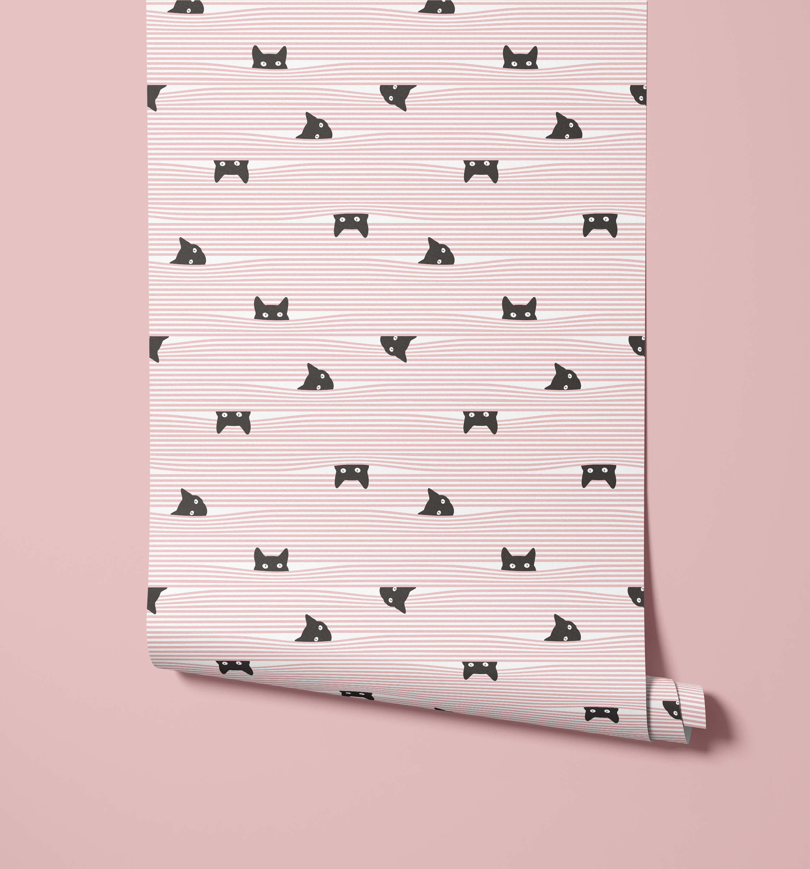 Gato