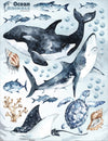 Ocean Predators Decal Set - Orca, Great White Shark, Stingray + More - Watercolour effect stickers