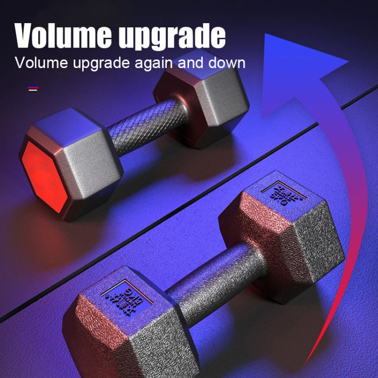 10KG Red Seal Household Glue Fitness Hexagon Dumbbells, 10KG