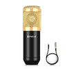 PULUZ Condenser Microphone Studio Broadcast Professional Singing Microphone (Gold)