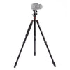 Triopo MT-2504C Adjustable Portable Aluminum Tripod with NB-1S Ball Head for Canon Nikon Sony DSLR Camera, MT-2504C (Black), MT-2504C (Gold)