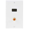HDMI Female + RCA Female Plug Wall Plate Panel
