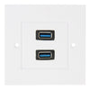Dual USB 3.0 Female Plugs Home Wall Charger Plate Wall Plate Panel, 2 Ports USB 3.0