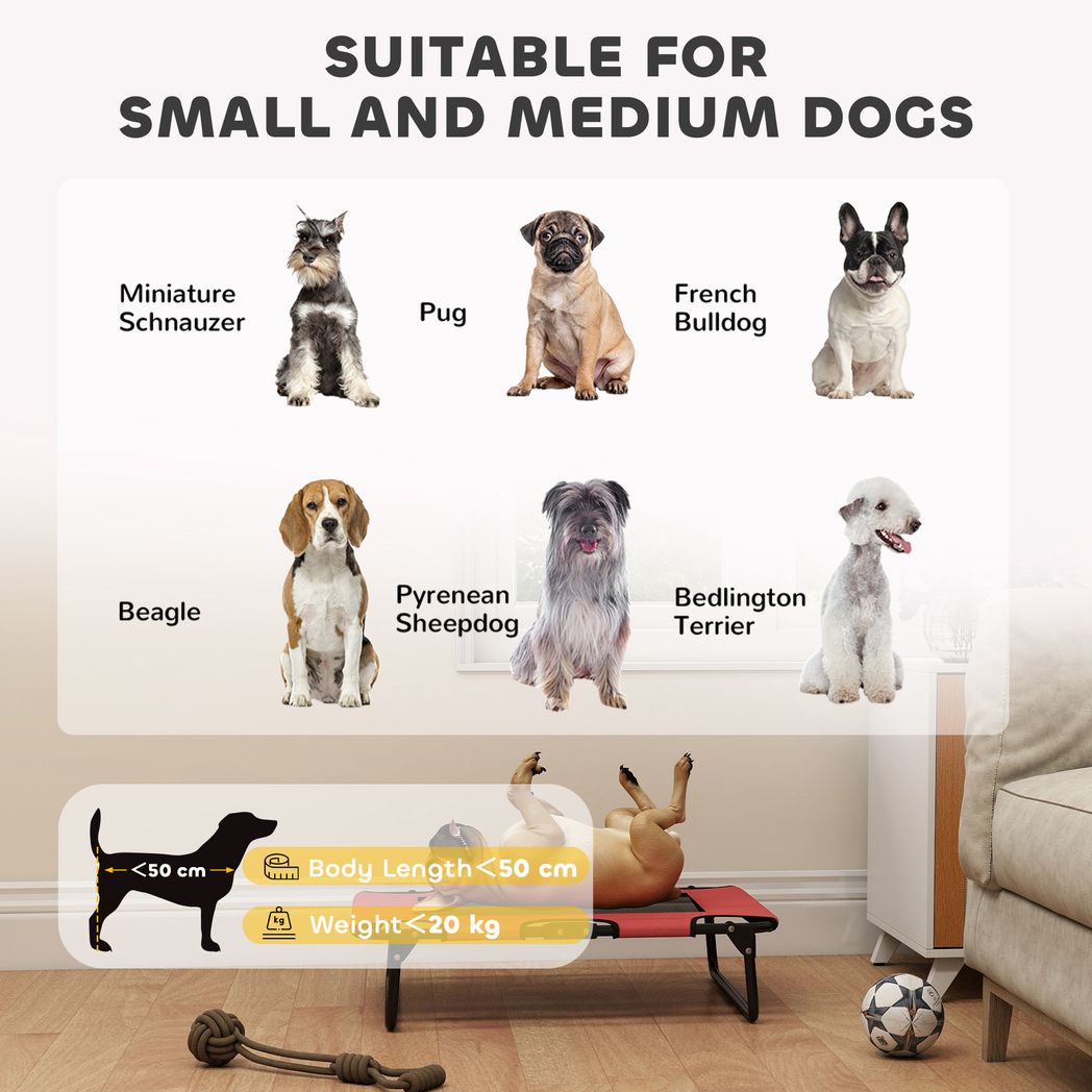 PawHut Raised Dog Bed with Breathable Mesh for S & M Dogs