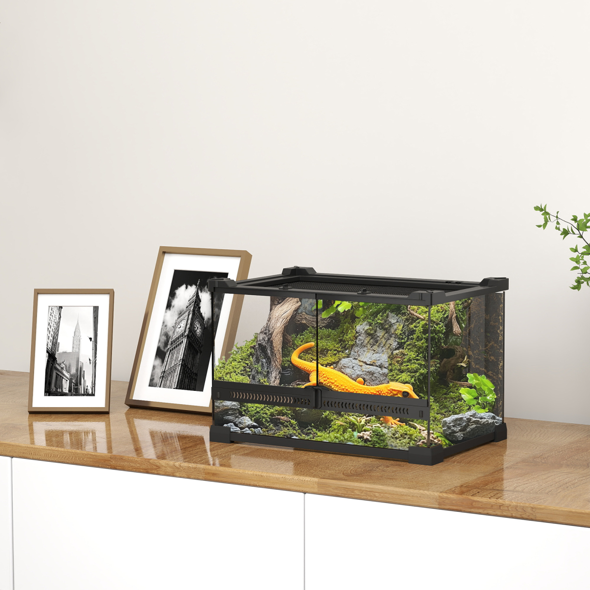 PawHut 10L Glass Terrarium, Reptile Vivarium with Stone Background