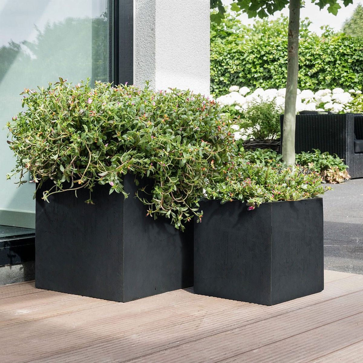 IDEALIST Lite Contemporary Flower Box Square Garden Planter, Faux Lead Light Concrete Outdoor Large Plant Pot H60 L60 W60 cm, 195L