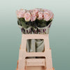 Rose Sweet Avalanch