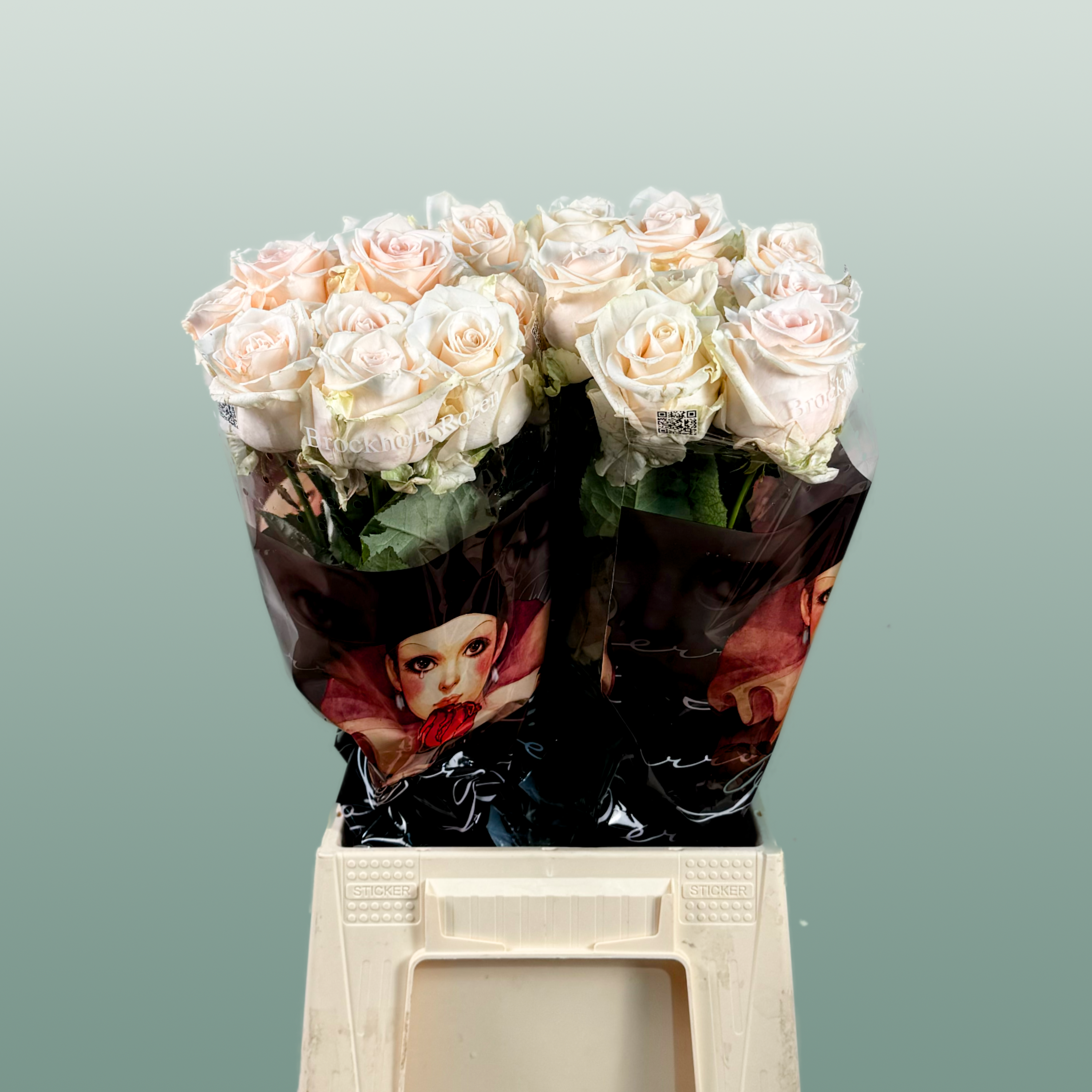 Rose Sweet Caroline