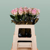 Rose Sweet Dolomiti