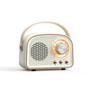 DW21 Vintage Radio BT Speaker Support TF Card/U Disk to Play, White, Dark Green, Light Green, Pink, Wood Grain