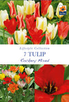 Tulip Dwarf Rockery Mixed Bulbs 7 Bulbs