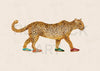 LEOPARD IN GAZELLES