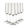 Murray Champagne Glasses - 220ml - Set of 6