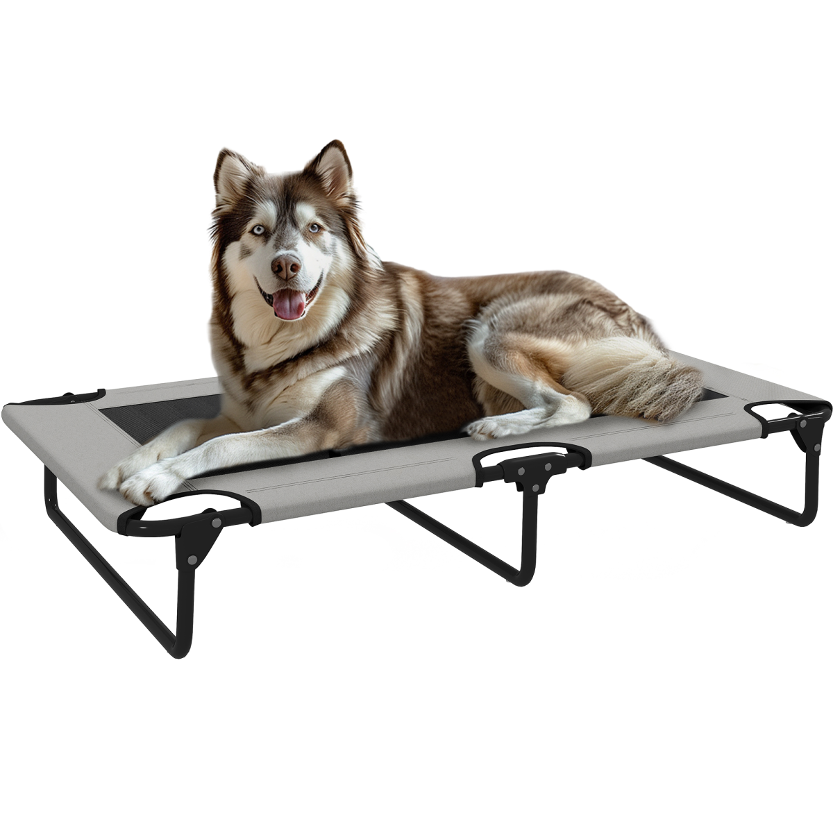 PawHut Raised Dog Bed with Breathable Mesh for S & M Dogs