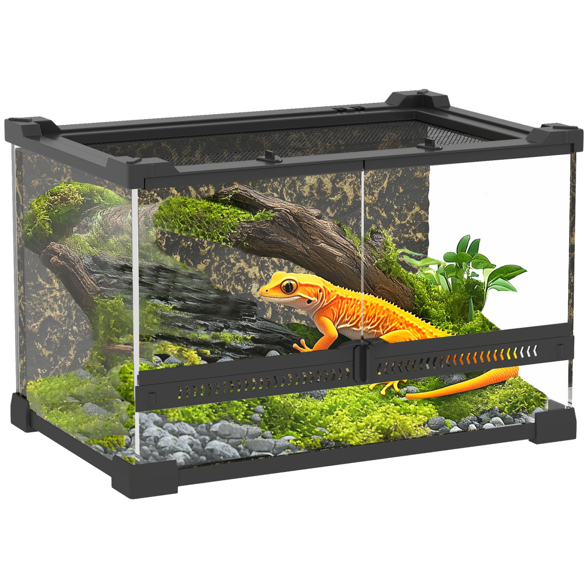 PawHut 10L Glass Terrarium, Reptile Vivarium with Stone Background