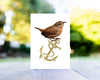 Wren & Anchor Greeting Card