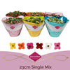 Kalanchoe Bl Gemengd Tst