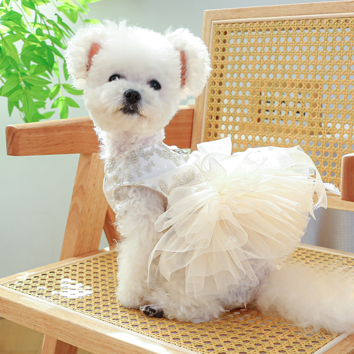 Spring And Summer Thin Dog Cat Wedding Dress