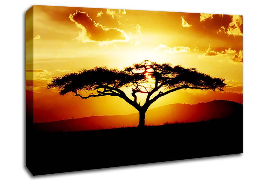 African Tree At Sunset Canvas Wall Art - Zestio