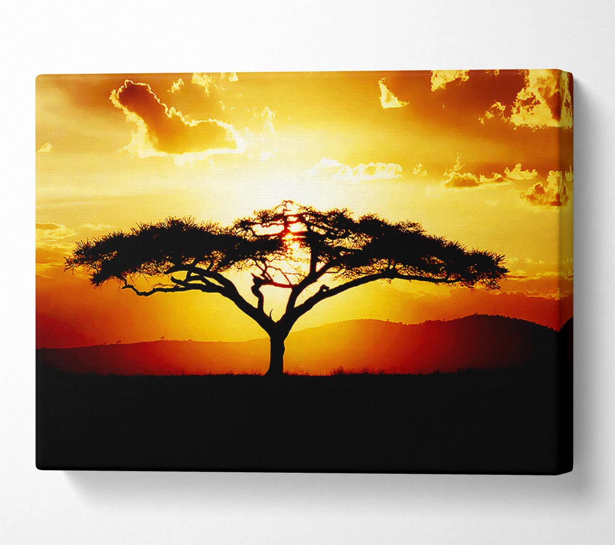 African Tree At Sunset Canvas Wall Art - Zestio