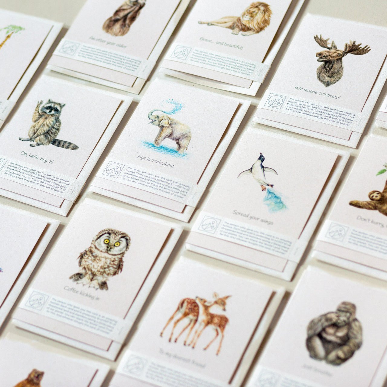 Animal Lover Charity Greeting Card