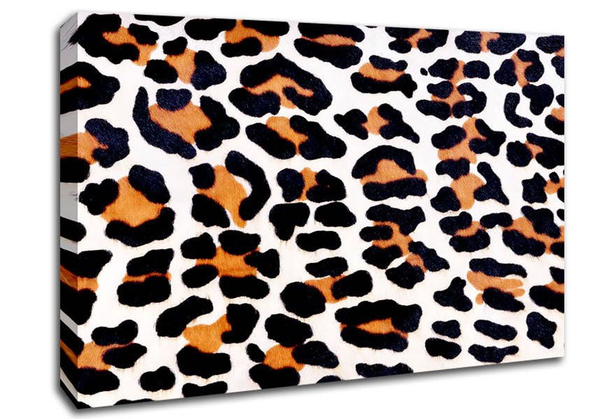 Animal Skin Canvas Wall Art - Zestio