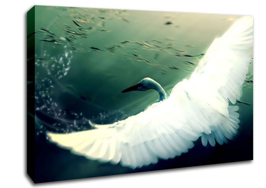 Another Perspective Canvas Wall Art - Zestio