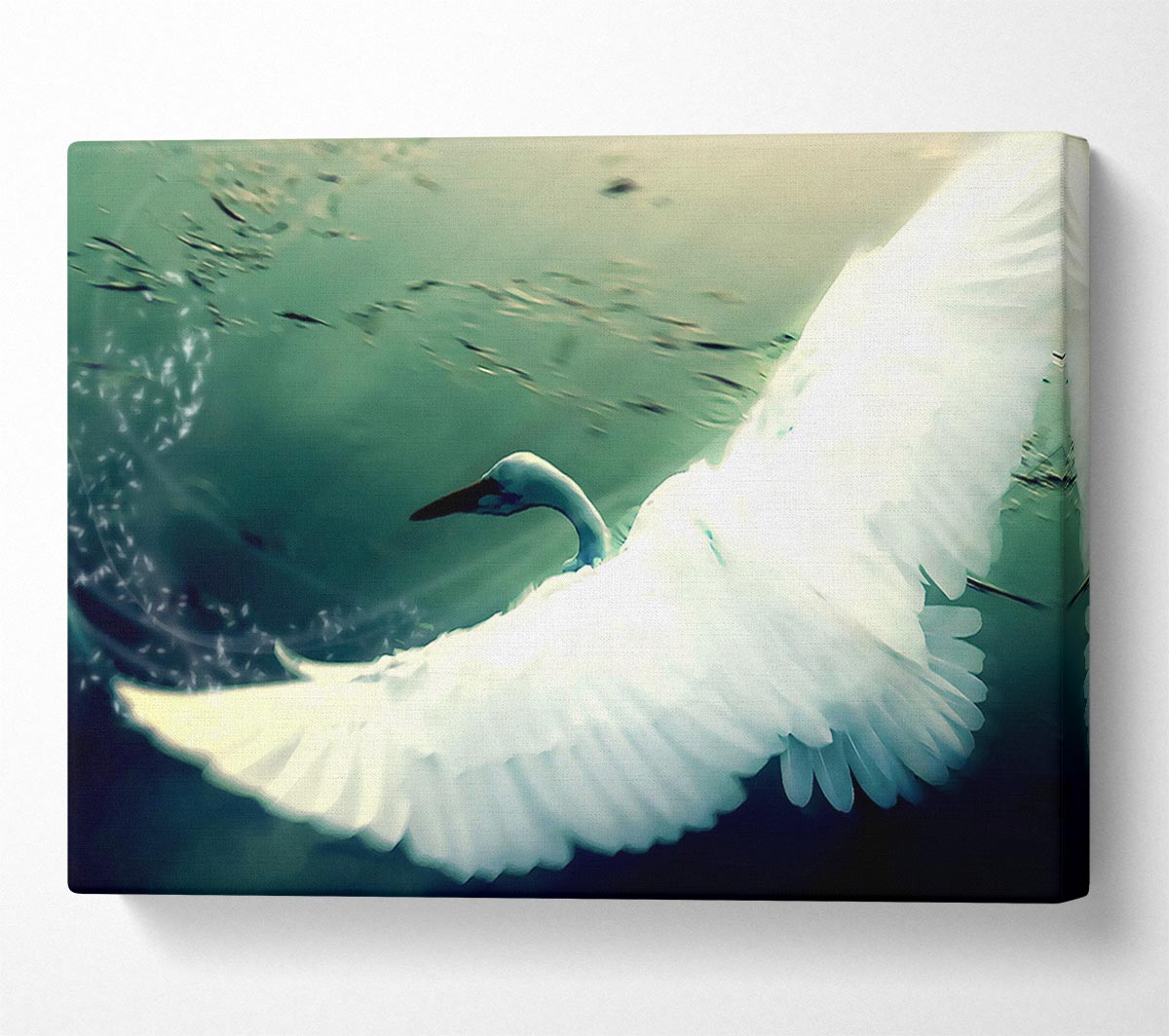 Another Perspective Canvas Wall Art - Zestio