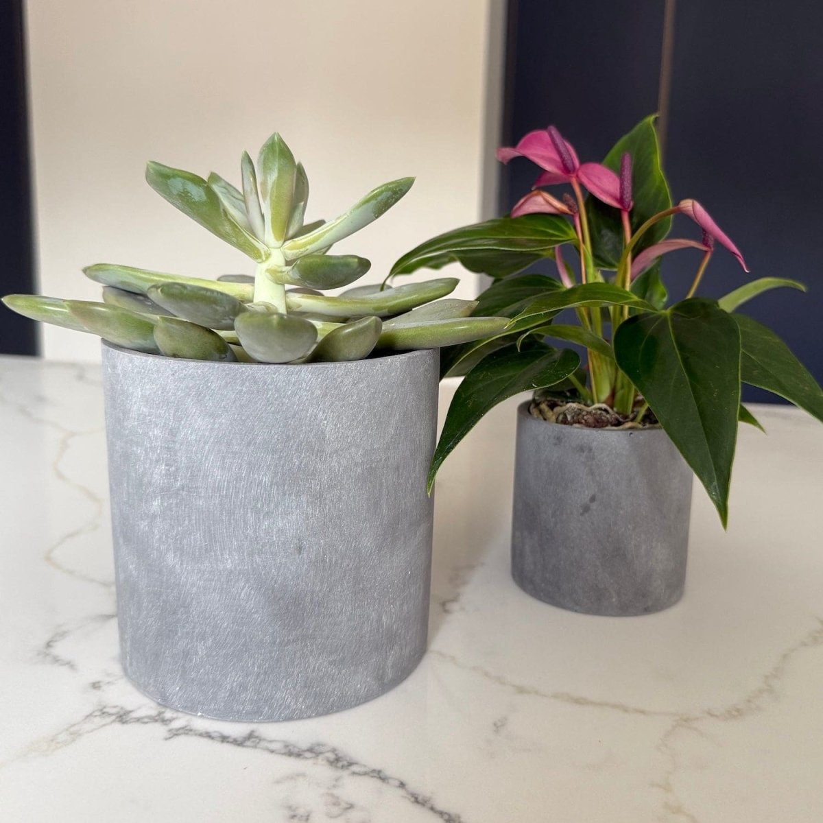 Aurello | Brushed Grey Stone Resin Indoor Plant Pots (Set of 2) - Zestio