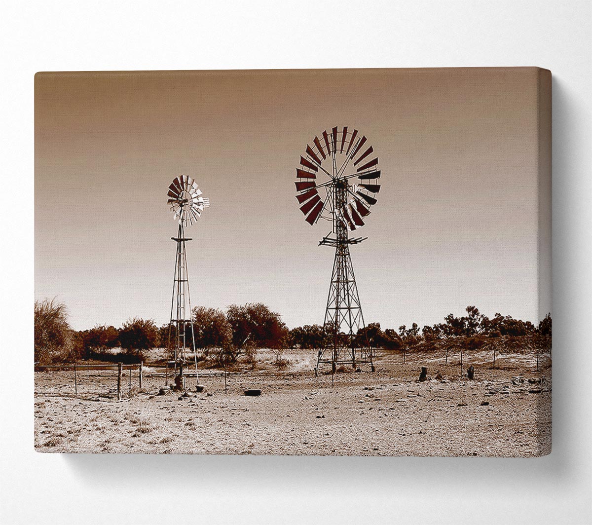 Australian Windmills Sepia Canvas Wall Art - Zestio