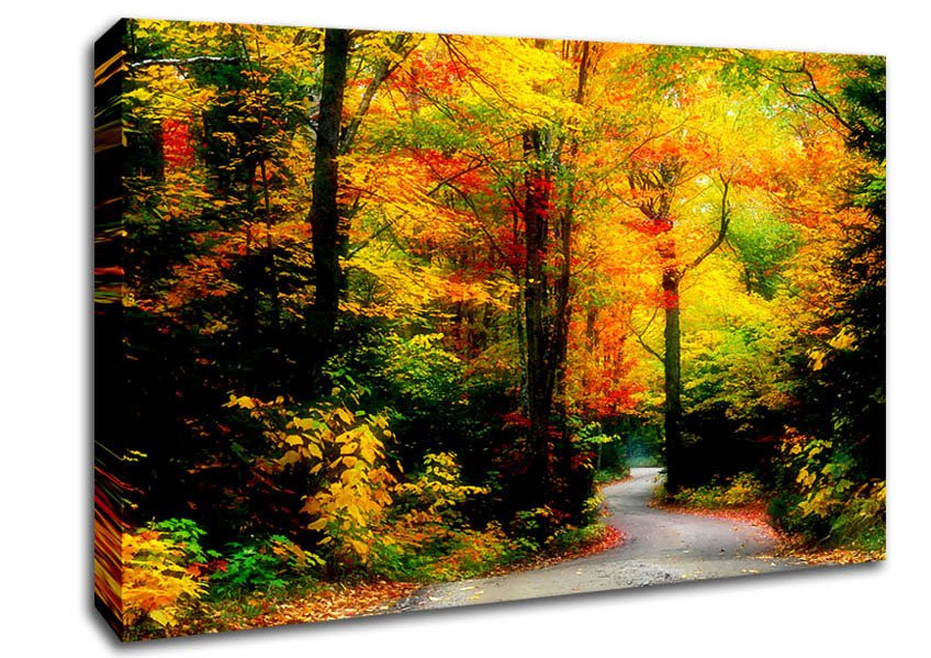 Autumn Road Canvas Wall Art - Zestio