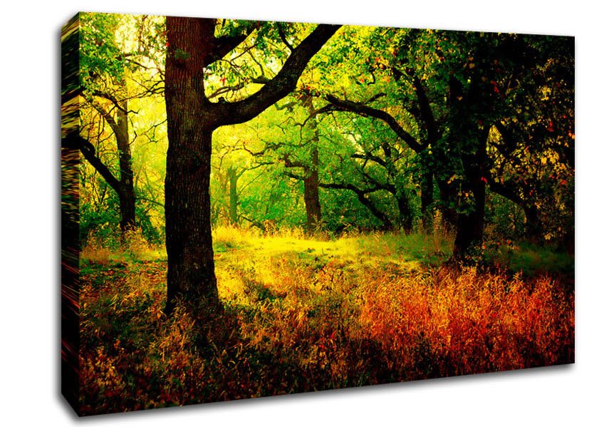 Autumn Wonderland Canvas Wall Art - Zestio