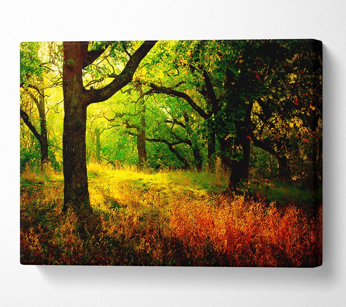 Autumn Wonderland Canvas Wall Art - Zestio