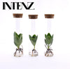 Opm Intenz Clusia Glas Tube