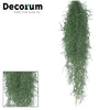 Tillandsia Usneoides (L)