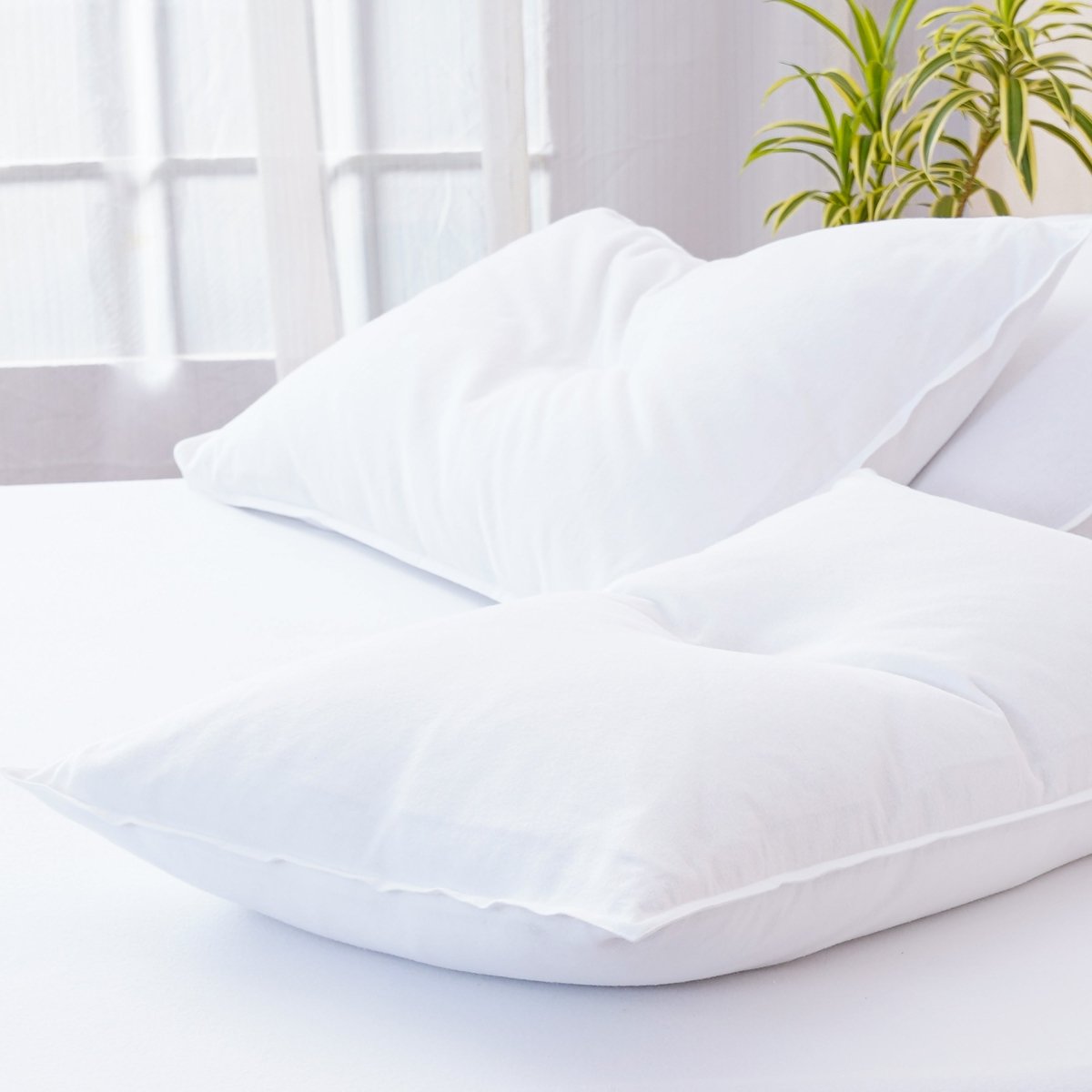 Bella Flannelette (Brushed Cotton) - White Pillowcases Pair - Zestio
