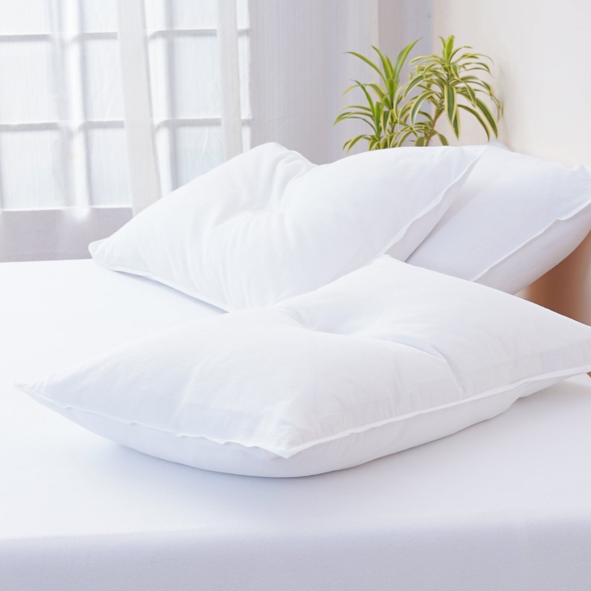 Bella Flannelette (Brushed Cotton) - White Pillowcases Pair - Zestio