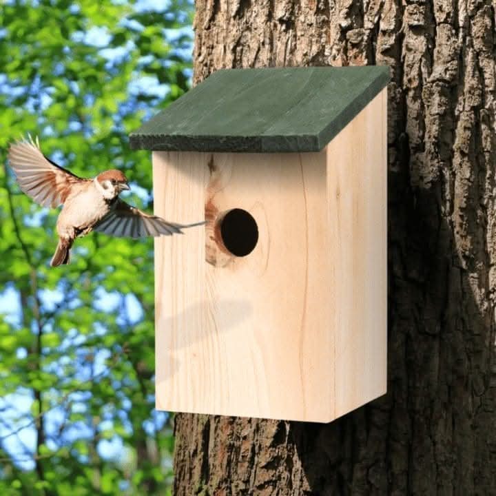 Wooden Bird Nesting Boxes