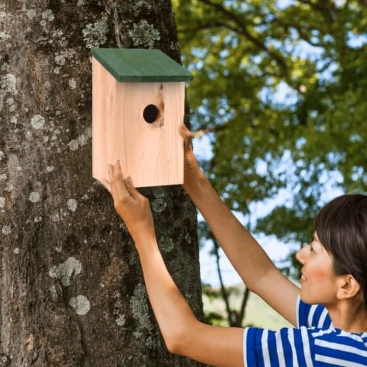 Wooden Bird Nesting Boxes